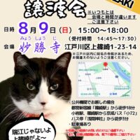 妙勝寺で開催されたてらねこ譲渡会の案内