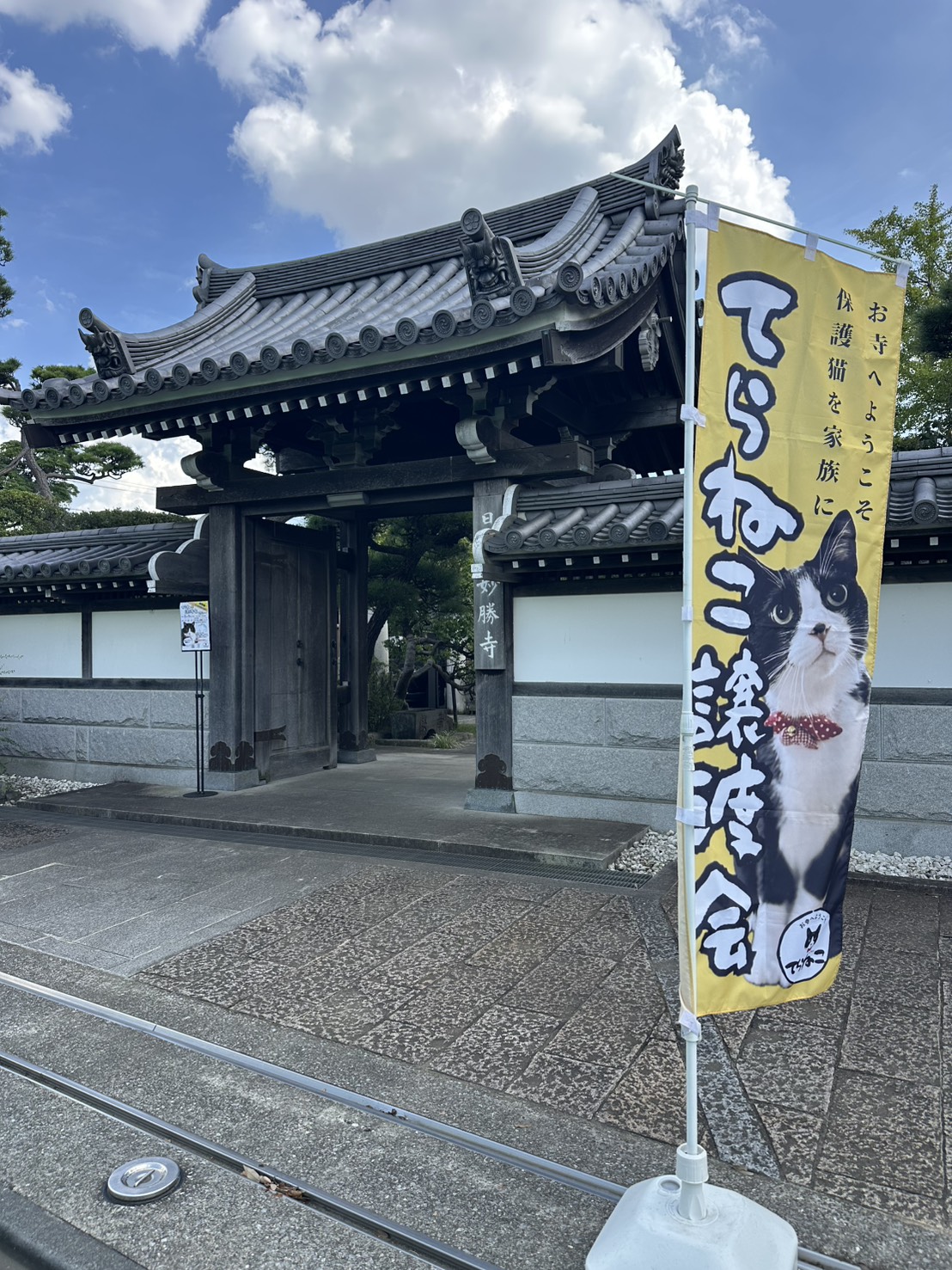 てらねこ譲渡会の様子